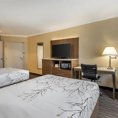 Best Western Airpark Hotel - Lax Airport La Stadium-3