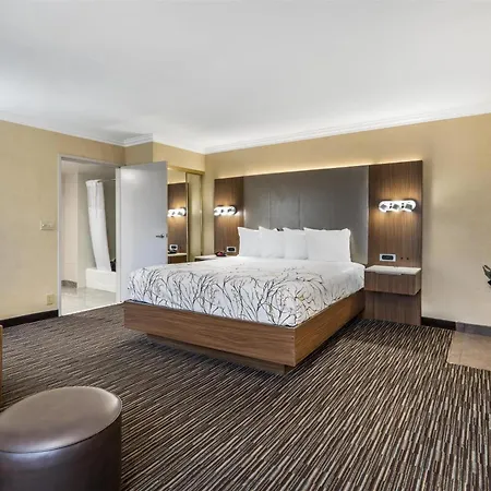 Best Western Airpark Hotel - Lax Airport La Stadium-2